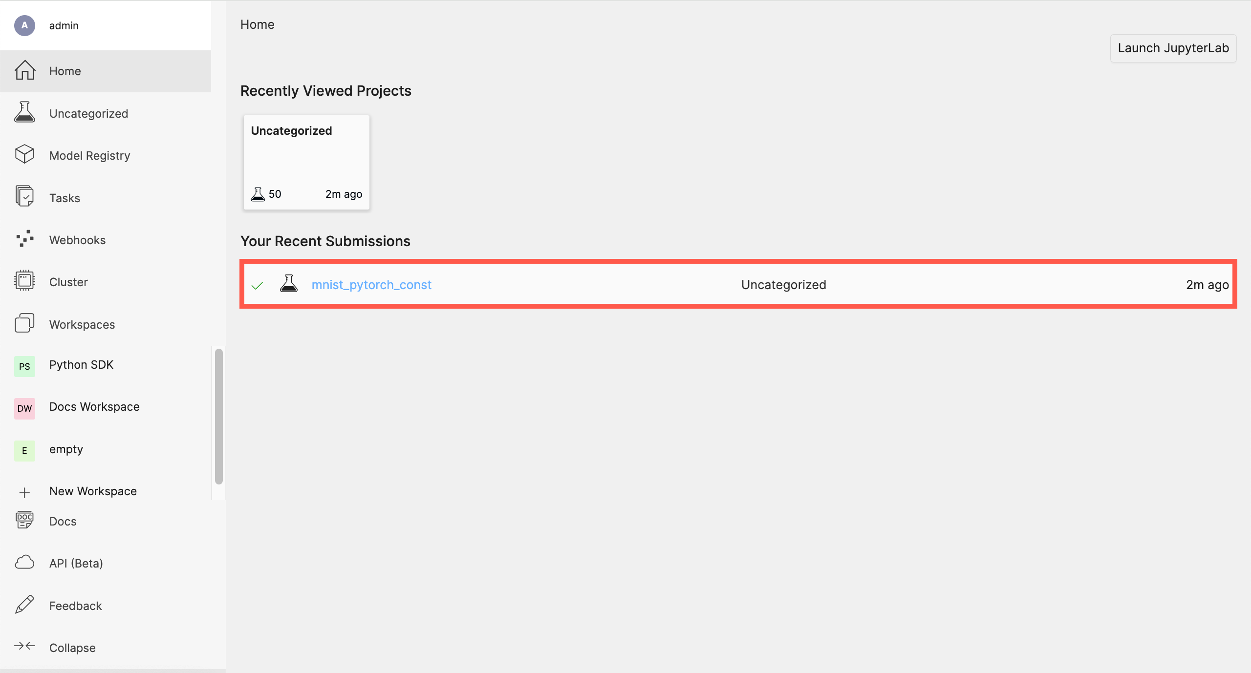 Determined AI WebUI Dashboard showing a user's recent experiment submissions